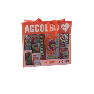Sac de magasinage non tissé de grande capacité avec matériau écologique et impression sur mesure