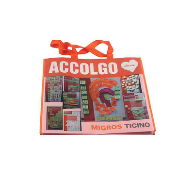 Sac de magasinage non tissé de grande capacité avec matériau écologique et impression sur mesure