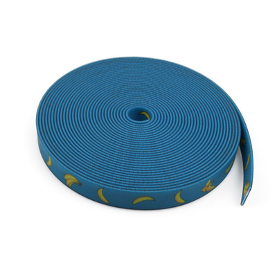 Accessoires et fournitures pour animaux de compagnie RIBBONS Conception personnalisée