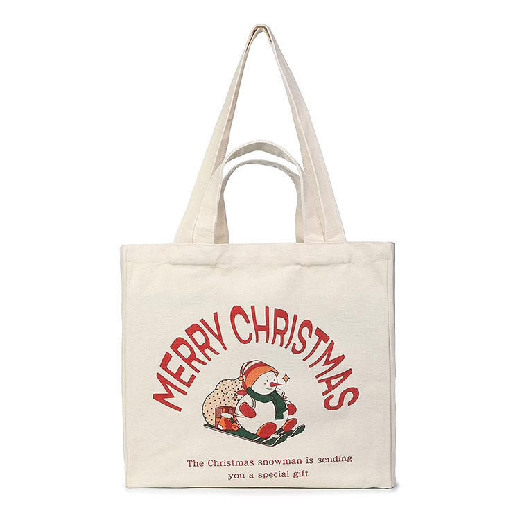 Sac d'épicerie polyvalent à longue poignée